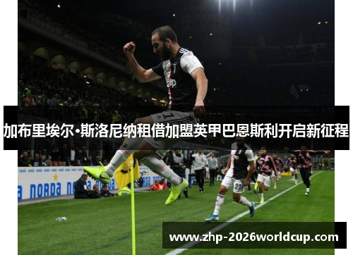 加布里埃尔·斯洛尼纳租借加盟英甲巴恩斯利开启新征程